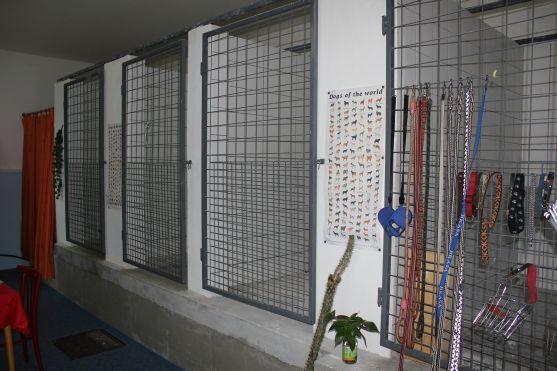 V broumovském psím útulku čeká na nové majitele dvanáct psů