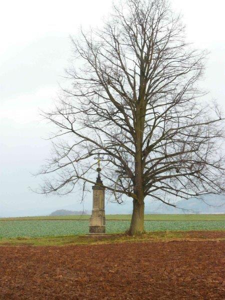 Broumovsko bylo opět úspěšné v programech Nadace Občanského fóra pro rok 2015