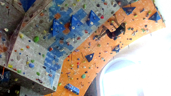 Sokolové v Polici vedou děti od malička