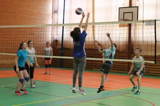 Víkend byl v Broumově nabitý volejbalem