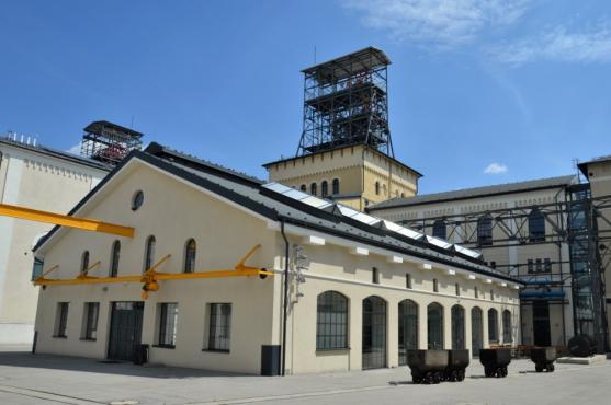 Výstava zkamenělých dřev AlekSandry Niemirowské