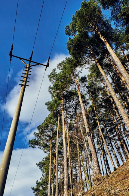 Tvář a vous absolventa broumovského gymnázia dominují článku v MF Dnes