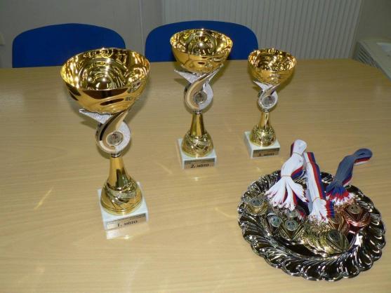 Zlatá olympijská medaile judisty Lukáše Krpálka motivuje. Na Pohár hejtmana do Broumova přijelo více než 200 mladých judistů