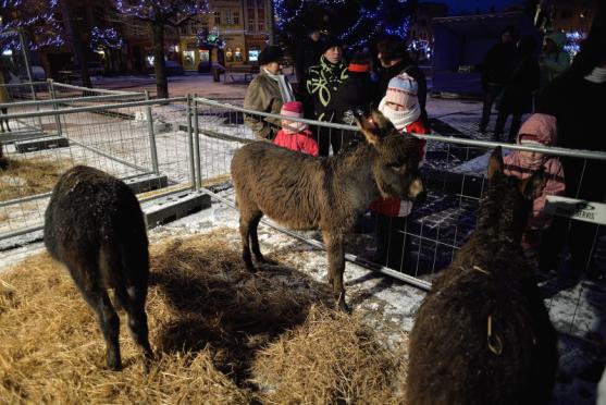 Broumovské náměstí ožilo díky živému betlému