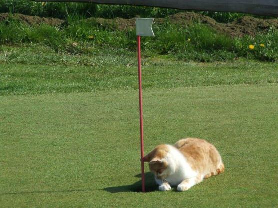 S golfem se dá začít v každém věku