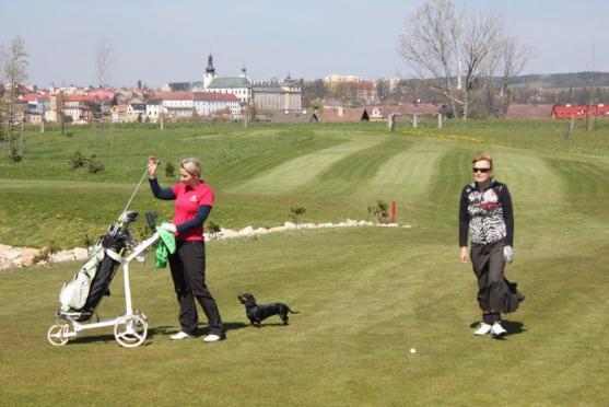 Golfisté z Grosshofu vybrali přes tři tisíce korun na broumovský psí útulek