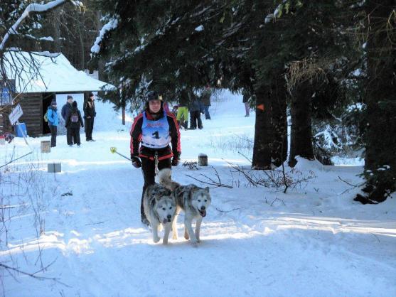 Změna místa závodům psích spřežení neuškodila. Naopak!