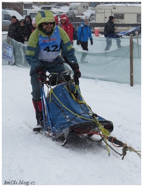 O víkendu běhali na Janovičkách sibiřští husky, aljašští malamuti, samojedi či grónští psi
