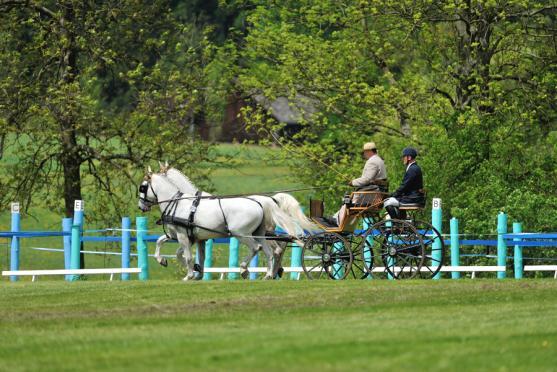 Jiří Nesvačil se stal vítězem v kategorii dvojspřeží při mezinárodních závodech koňských spřežení v Polici nad Metují