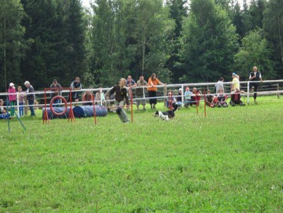 Psí parkur v Polici nad Metují zahajuje svoji činnost