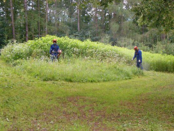 V Broumově se realizuje projekt, který zlepšuje šance na získání zaměstnání lidem se základním vzděláním