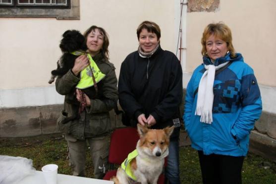 O pět zanedbaných psů z mediálně známého příběhu z Vysočiny se stará broumovský útulek