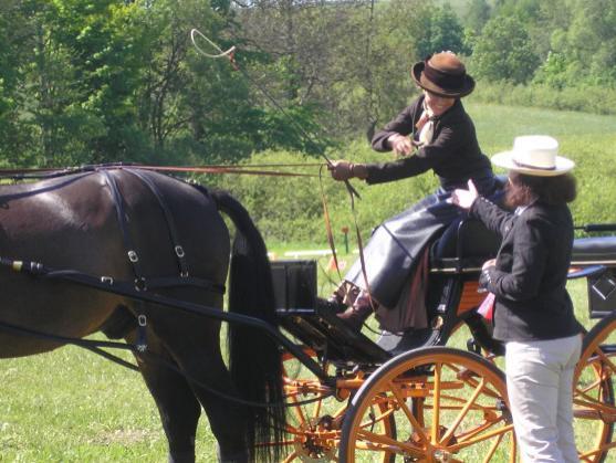 Mezinárodní závody koňských spřežení pořádali o víkendu v Polici nad Metují