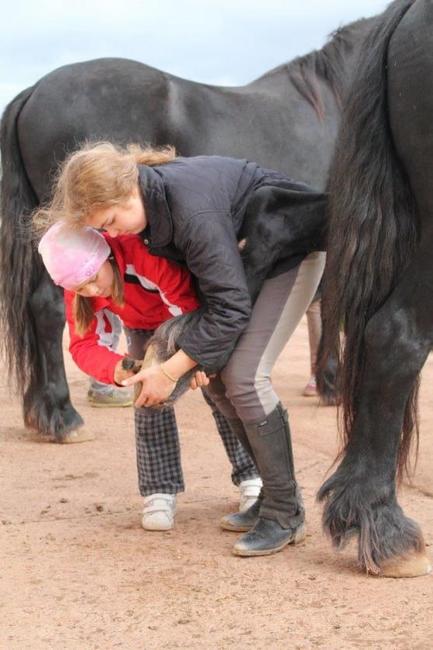 Podzimní prázdniny strávily děti na koních v hejtmánkovické jízdárně