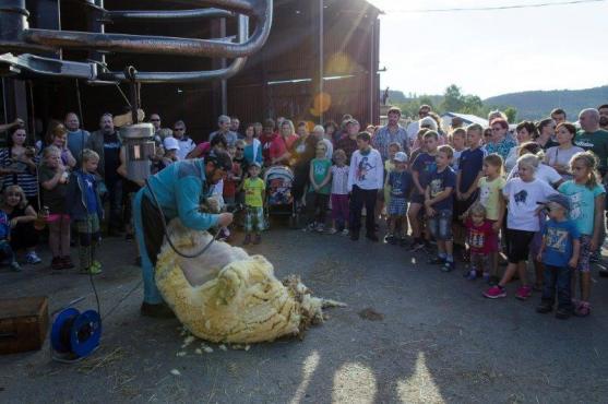 Farmářská slavnost ve Vernéřovicích přilákala stovky návštěvníků 