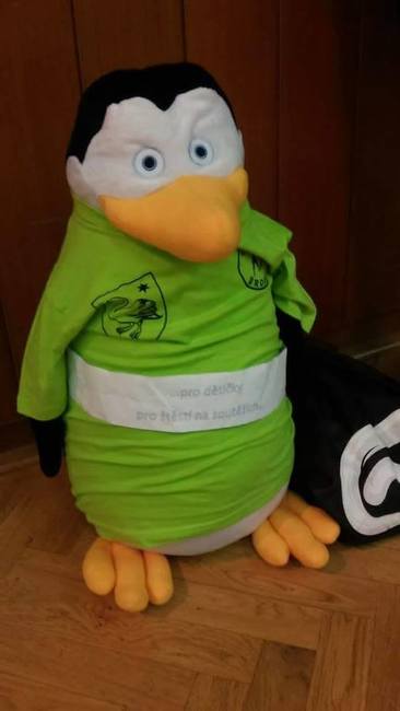 Broumovské taneční páry přivezly z Rychnova nad Kněžnou deset medailových umístění 