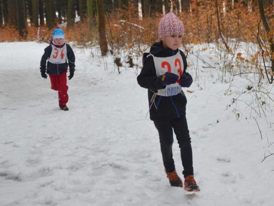 Memoriál Gustava Lamky se tentokrát nejel na lyžích, ale běžel
