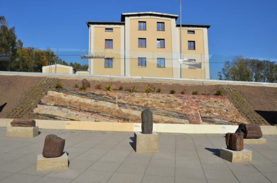 Výstava zkamenělých dřev AlekSandry Niemirowské