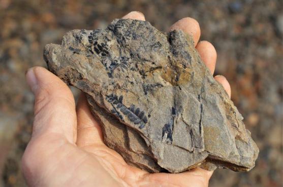 Ze Žacléře do Žacléře přes vyvřelý Královecký špičák