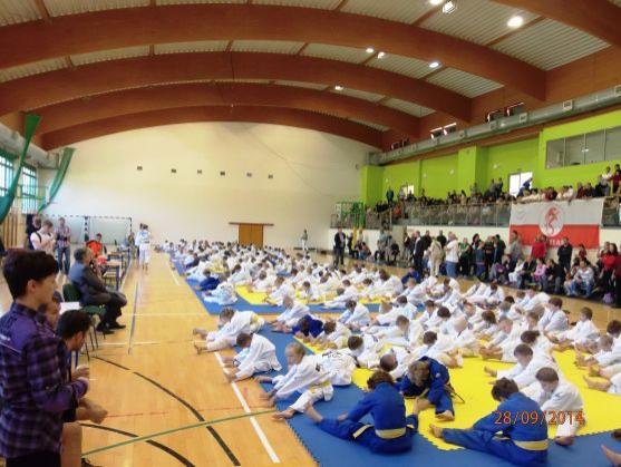 Judistka Anna Freiwaldová je oblastní přebornicí pro rok 2014