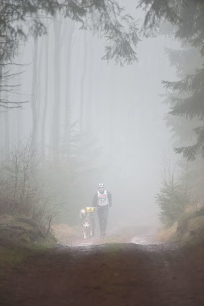 Letos se se psy běhalo a jezdilo na kárách, koloběžkách a kolech