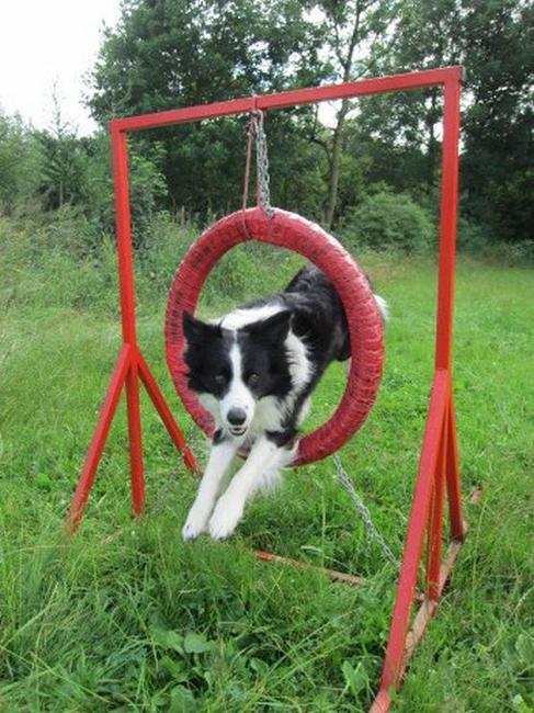 Psí parkur v Polici nad Metují zahajuje svoji činnost