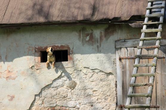 Nápadný půvab polských Sudet aneb Cesta do Berthelsdorfu