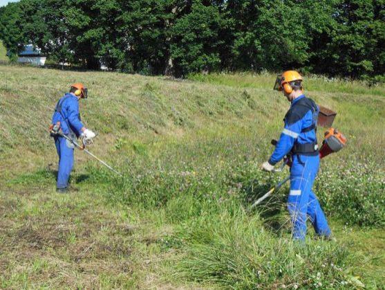 V Broumově se realizuje projekt, který zlepšuje šance na získání zaměstnání lidem se základním vzděláním