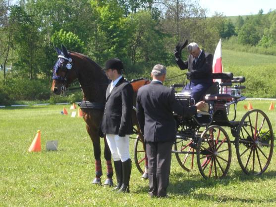 Mezinárodní závody koňských spřežení pořádali o víkendu v Polici nad Metují