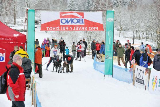 Na závody psích spřežení se na Janovičky u Broumova přišlo podívat 3 000 diváků