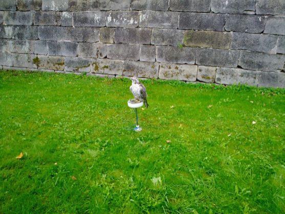 Soutěže, hry, pohádka. To je náplň tradičního Dne s Lesy ČR