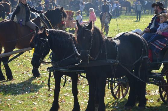 Hubertova jízda Jetřichov pomáhá 