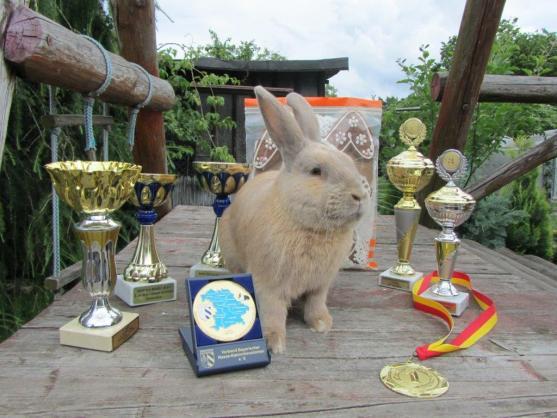 Hopáci z Broumova slaví úspěchy 