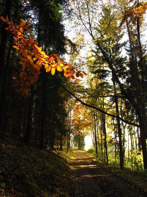Fotoreportáž: Vzpomínka na barevný podzim