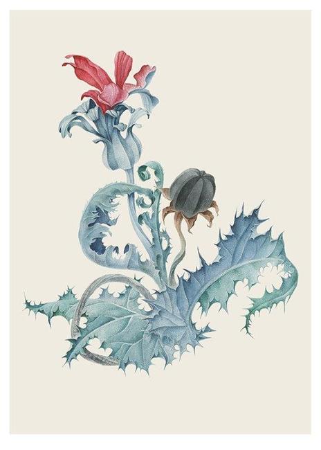 Broumovský klášter bude hostit první Sympozium ilustrace v ČR