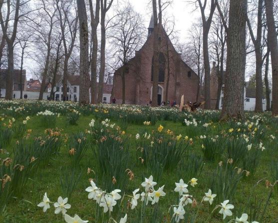 Studenti Gymnázia Broumov se toulali Lucemburskem, francouzskou Pikardií a Belgií
