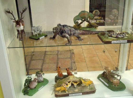 Muzeum papírových modelů připravilo pro návštěvníky novou podzimní výstavu s názvem Nová ZOO v České republice