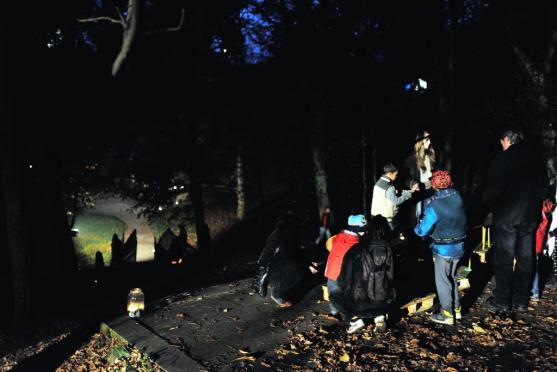 Strašidelnou Alejku letos znovu naplnila strašidla, děti a jejich smích