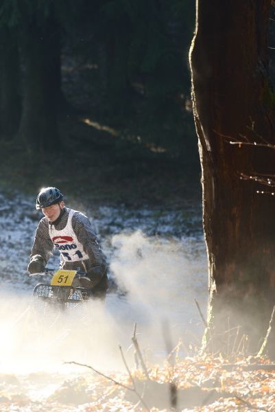Letos se se psy běhalo a jezdilo na kárách, koloběžkách a kolech