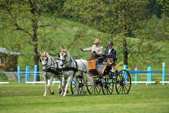Jiří Nesvačil se stal vítězem v kategorii dvojspřeží při mezinárodních závodech koňských spřežení v Polici nad Metují