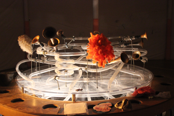 Petr Nikl: "Nikdy předem nevím, jak koncert dopadne."