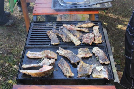 Ryby z rybníku v Hejtmánkovicích lovili hasiči