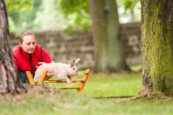 Proměnlivé počasí Broumováky neodradilo a pouť si užili 