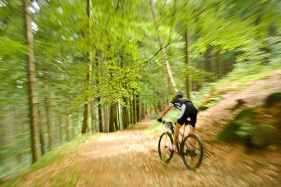 Do cíle cyklistického etapového závodu Specialized MTB Trilogy dorazilo 165 závodníků