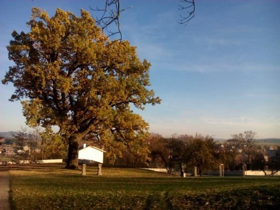 Z kláštera se šíří krása, moudrost a osvícené myšlenky