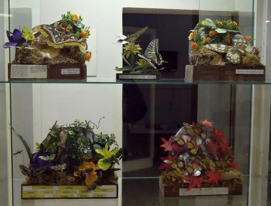 Muzeum papírových modelů připravilo pro návštěvníky novou podzimní výstavu s názvem Nová ZOO v České republice