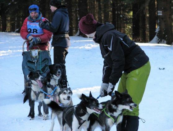 Změna místa závodům psích spřežení neuškodila. Naopak!