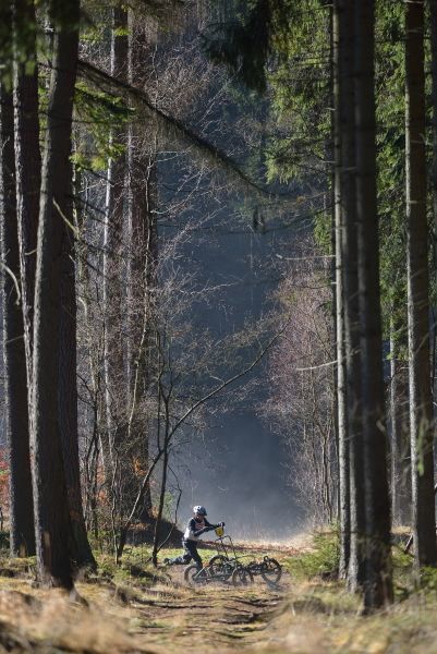 Letos se se psy běhalo a jezdilo na kárách, koloběžkách a kolech