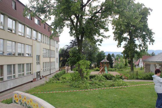 Den s arboristy v Naší zahradě