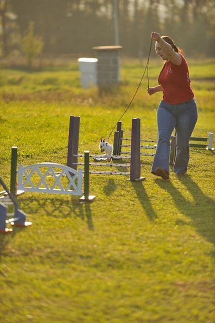 Králíci z Broumova uspěli na Grand Prix v Poděbradech
